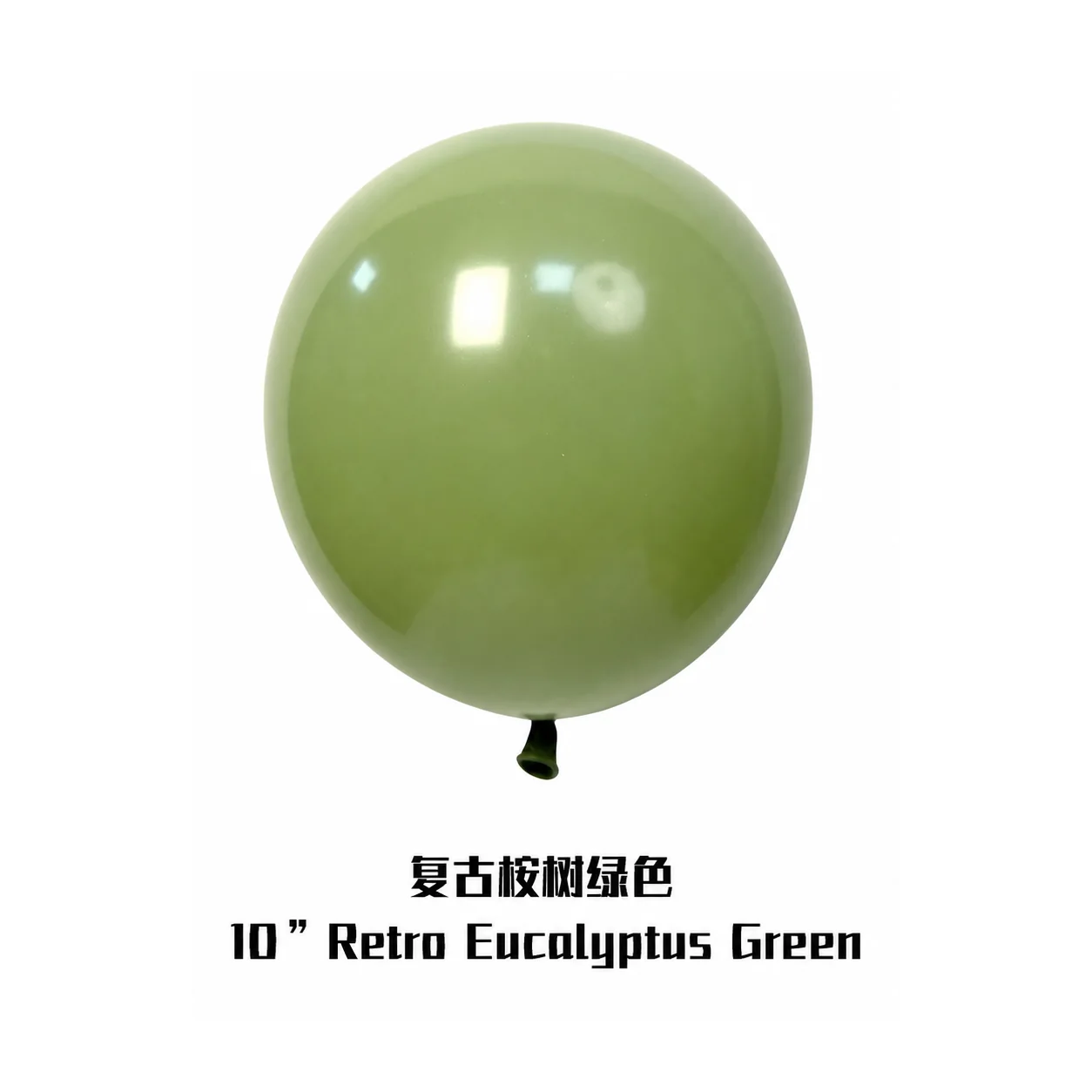 10 inch retro balloon in eucalyptus green latex balloon